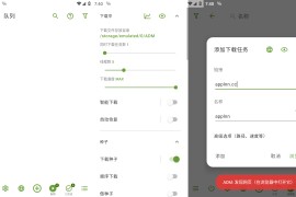 Advanced Download Manager Pro(ADM) v14.0.29安卓绿化版
