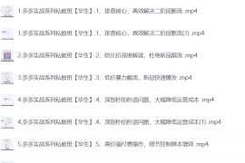 2025年拼多多实战系列私教班