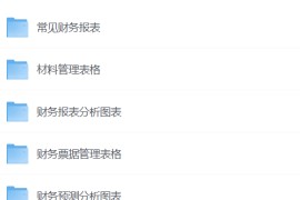 200套专业财务表格