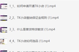 TikTok小店运营出单课，从开店选品、运营出单、发货回款，进行全流程讲解