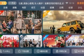 皮皮影视 v8.6 TV版