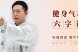 六字诀视频教程新手自学零基础入门精通教学课程全集