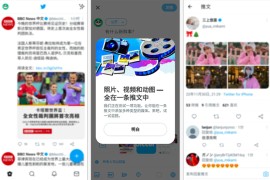 Twitter X v11.4.0 iOS绿化版