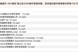 销量提升•ROI破百 独立站EDM邮件营销攻略，如何通过邮件营销每年获得100万美金销售额