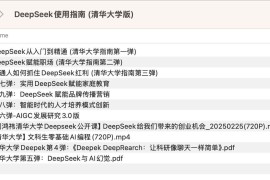 DeepSeek使用指南 (清华大学版)