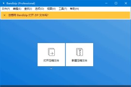 Bandizip(免费的解压缩软件) v7.37 中文绿色版 & 直装版