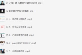 跨境电商独立站训练营，从小白到精通手把手教你做跨境+独立站建站实战