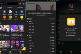 油管下载器Snaptube v7.41.0.74150210安卓绿化版