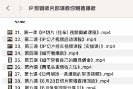 IP剪辑师内部课教你制造爆款