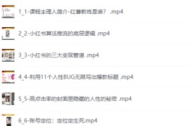 红薯教练-小红书内容运营课，小红书运营学习终点站