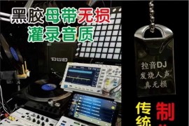 抖音99元购买的2024车载U盘，黑胶母带无损音质【20.9GB】