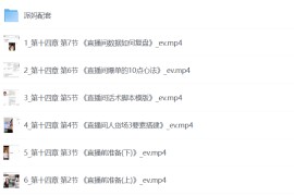 派妈流量变现私教课，小红书赛道IP 商业 店铺