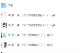 盗坤·小红书电商带货陪跑营（第十一期）