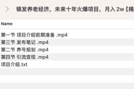 银发养老经济，未来十年火爆项目，月入2w【揭秘】