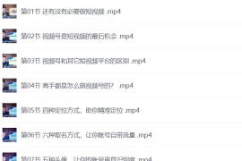 王老师教你低成本、做流量，零基础学做视频号，0-1快速抓住视频号流量