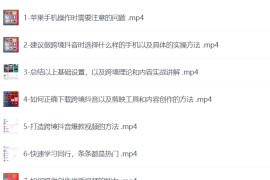 tiktok+独立站0基础入门到精通，跨境电商独立站新手必学课