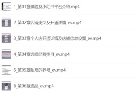 小红书电商0-1精通课程 小红书开店必学课程