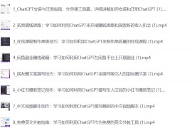 ChatGPT老板实战训练营，用GPT带飞，一人顶一个团队