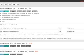 MSDN镜像资源下载站 官方原版Windows系统镜像：山己几子木