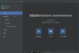 JetBrains PyCharm(Python集成开发环境) 2025.1 直装激活版