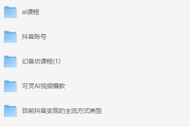 298 元颜值剪辑起号教学课程