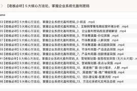 【老板必听】5大核心方法论，掌握企业系统化盈利密码
