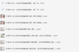 拼多多电商课程，新手纯小白必看，零基础教学快速入门