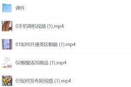 TikTok跨境电商从0-1全链路全方位实操教程，把握多元变化中的全球生意机会