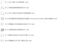 谷歌广告从零到精通，包含关键词筛选，登陆页深度策划，谷歌后台详细解读等