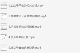 DeepSeek+AI玩转公众号流量主