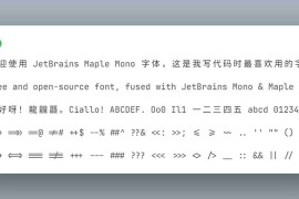 JetBrains Maple Mono：免费开源的合成字体 高可读性