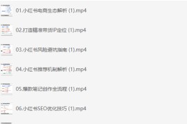 小红书电商全链路运营，Ai全面助力小红书电商案例