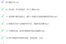 【初橙资本】百亿CEO密谈录：与卫哲面对面做企业诊疗