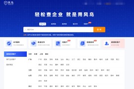 【限时福利】注册即送5年SVIP！风鸟企业信用查询平台：一键查法人、风险、工商信息
