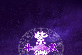 紫微斗数 v6.0.0 安卓绿化版