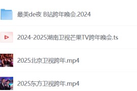 2024-2025 各平台跨年晚会合集