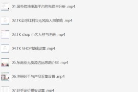 TikTokShop跨境电商0-1实战，手把手教你低成本启动海外市场