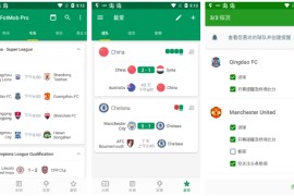 体育FotMob v210.13702 安卓绿化版