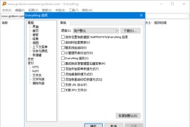 Everything(文件搜索工具) v1.4.1.1027 多语便携版