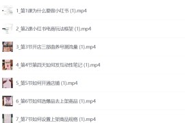 小红书电商运营，97节小红书vip内部课，带你实现小红书赚钱
