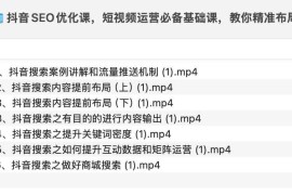 抖音SEO优化课，短视频运营必备基础课，教你精准布局短视频搜索