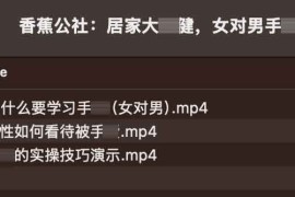 最佳免费Instagram视频下载器 高效保存无水印内容：Instagram Video Downloader