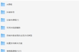 298 元颜值剪辑起号教学课程