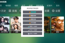 野火聚合 v6.1.6 TV版