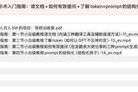 AI提示术入门指南：读文档+如何有效提问+了解token+prompt的结构化【揭秘】