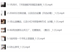 小红书电商从0-1实操运营课，0基础小白轻松上手