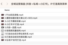 全域运营操盘(抖音+私域+小红书)，IP打造高效简单