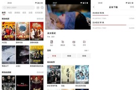 大师兄影视 v3.4.0 安卓绿化版