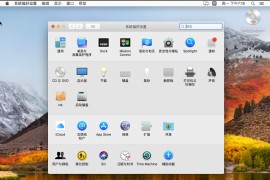苹果系统MacOS10/11/12/13/14虚拟机vmware免安装镜像黑苹果