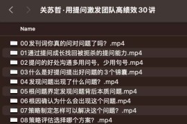 关苏哲·用提问激发团队高绩效30讲